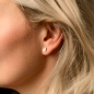 Preview: Ernstes Design Damen Ohrringe Ohrstecker Edelstahl Bicolor E746
