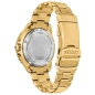 Preview: Citizen Promaster Herrenuhr Solar Saphirglas 20BAR Goldfarben BN0262-59W