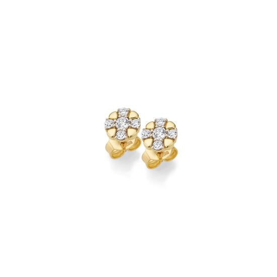 CEM Damen Ohrringe Ohrstecker 333er Gelbgold 6-210872-001
