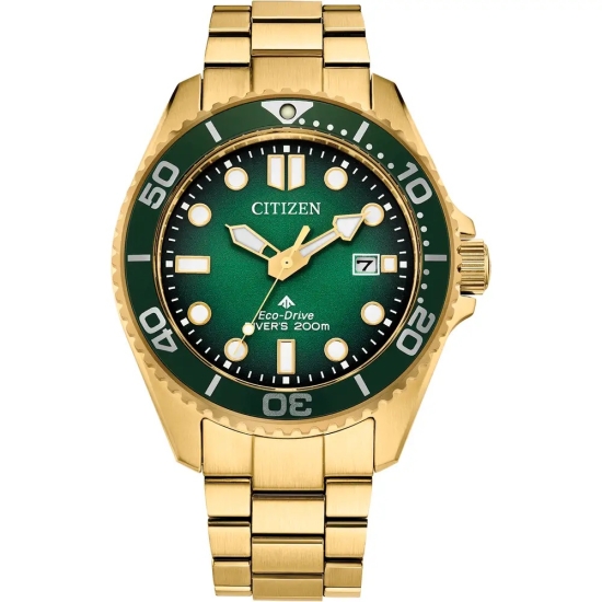 Citizen Promaster Herrenuhr Solar Saphirglas 20BAR Goldfarben BN0262-59W